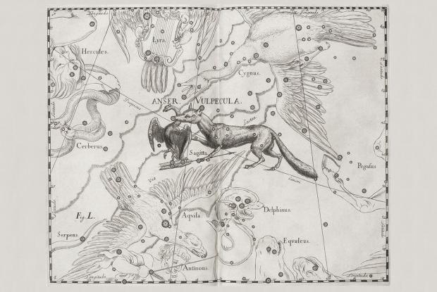 Vulpecula, Anser, Sagitta by Hevelius (1690)