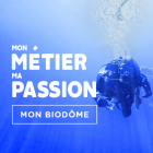Mon métier, ma passion, mon Biodôme - Thumb