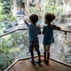 Deux élèves en Expédition Amazonie à la Forêt tropicale humide.