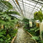 General view of the Ferns Greenhouse