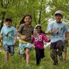 La course aux arbres