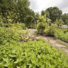 Ornemental garden