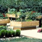 Potager surélevé
