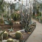 Arid Regions Greenhouse