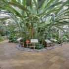 Jardin botanique - Hospitality Greenhouse