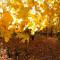 Jardin des Premières-Nations en automne.